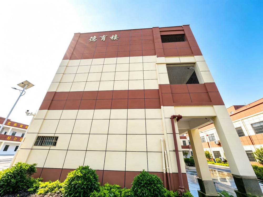 2026推荐：茂名家长如何甄选有资质的叛逆小孩教育学校